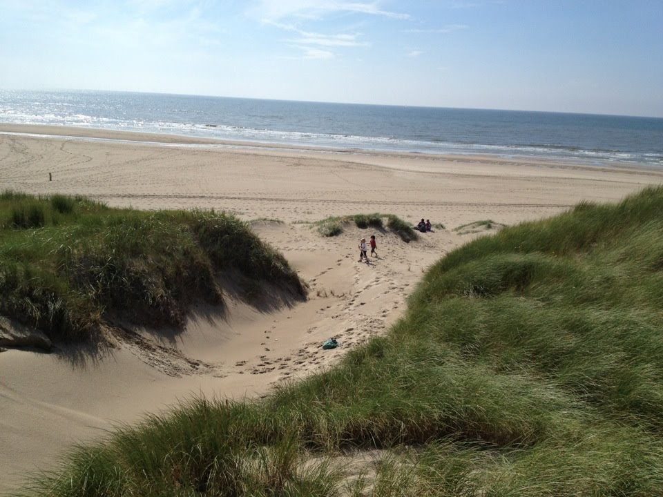 beach and grass