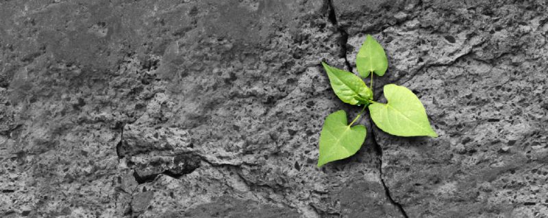 overcome past hurt