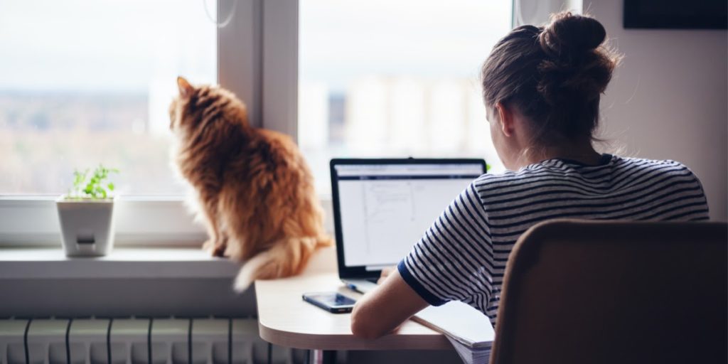 woman working and a cat looking out the window