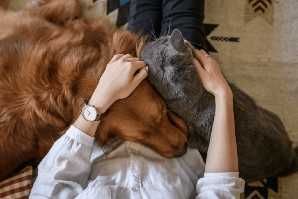 Mental Health Awareness Month - Animal Companionship
