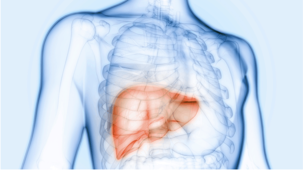 What does sugar do to your body? Liver