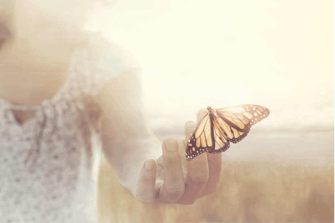 how to overcome feat and phobia