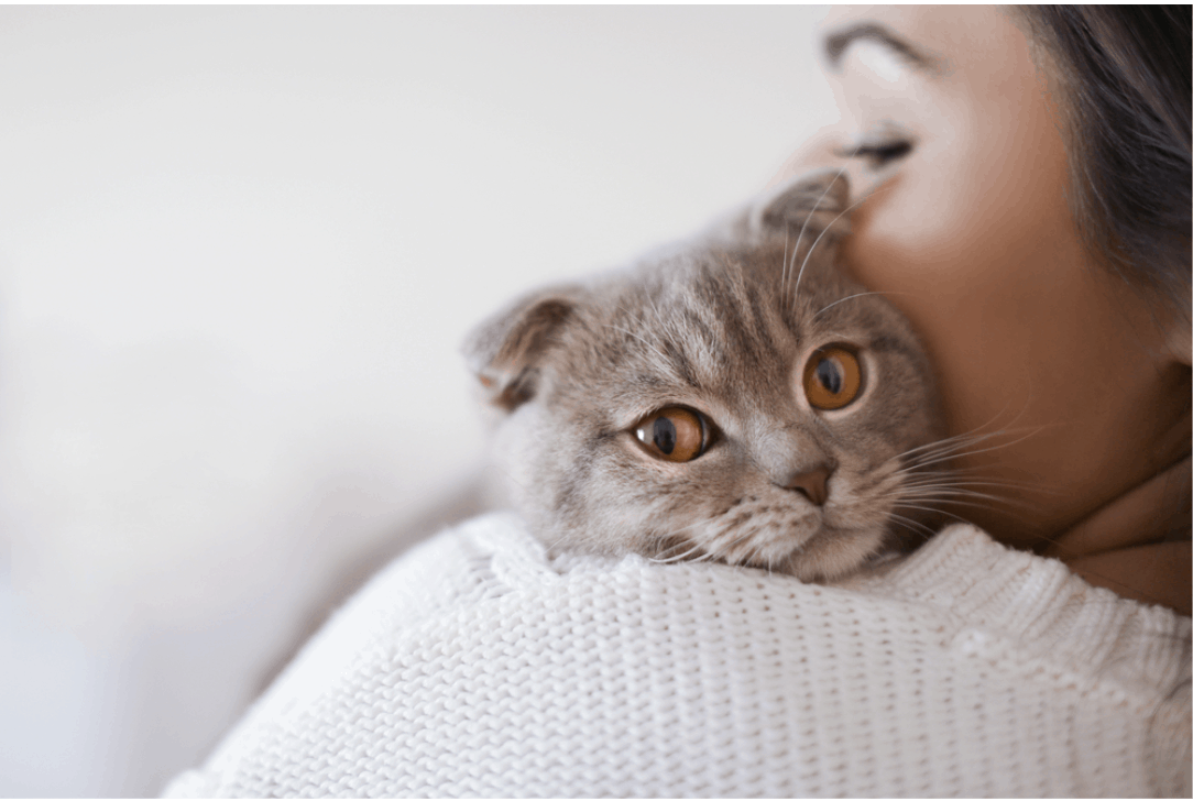 what is the cause of fears and phobias